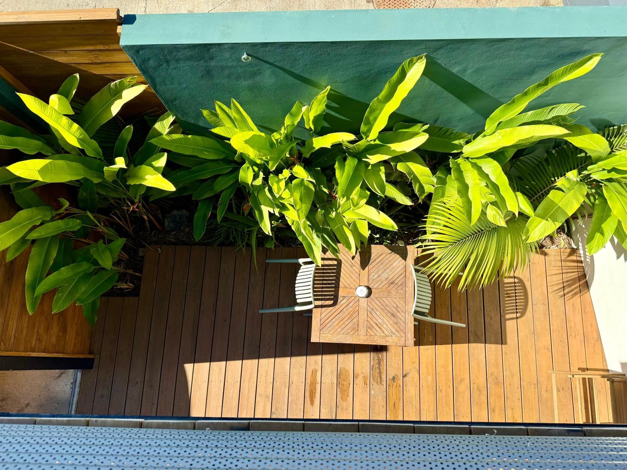 Aloes - Villa Salba. Panoramic View. Étang-Salé les Bains 外观 照片